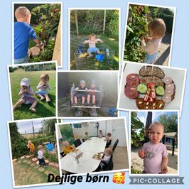 IMG_2401