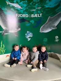 IMG_6921