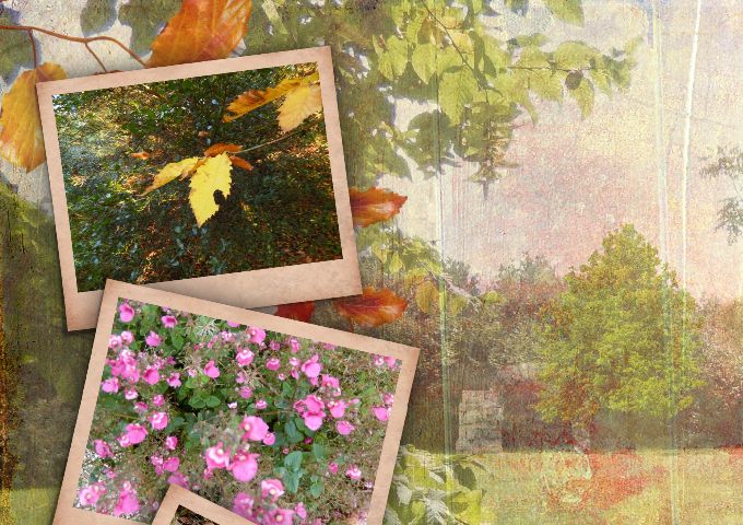 Les silences enflammés de l'automne