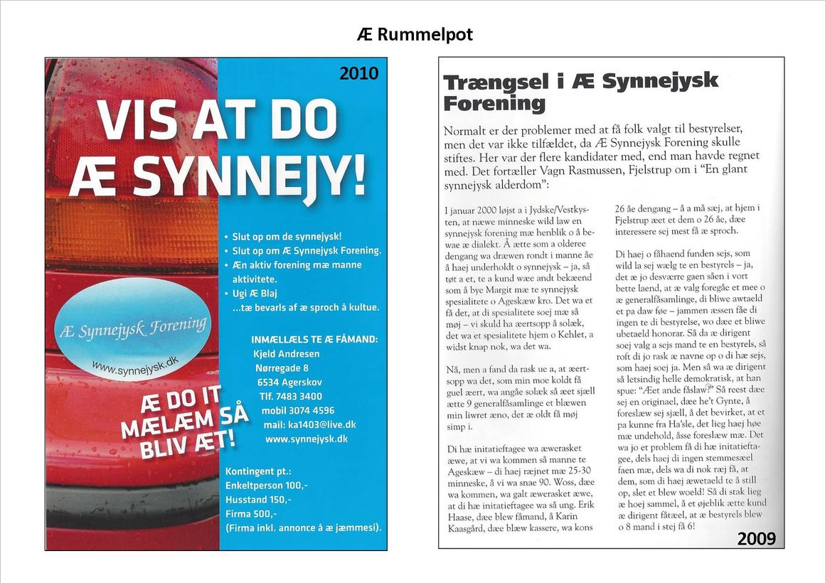 15 Æ Synnejysk Forening