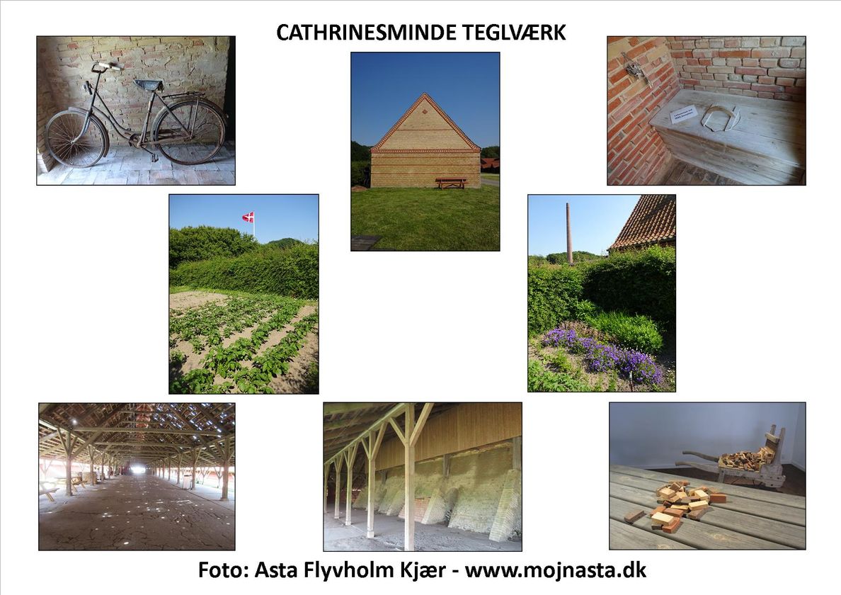 Billede lotteri Cathrinesminde plade 7