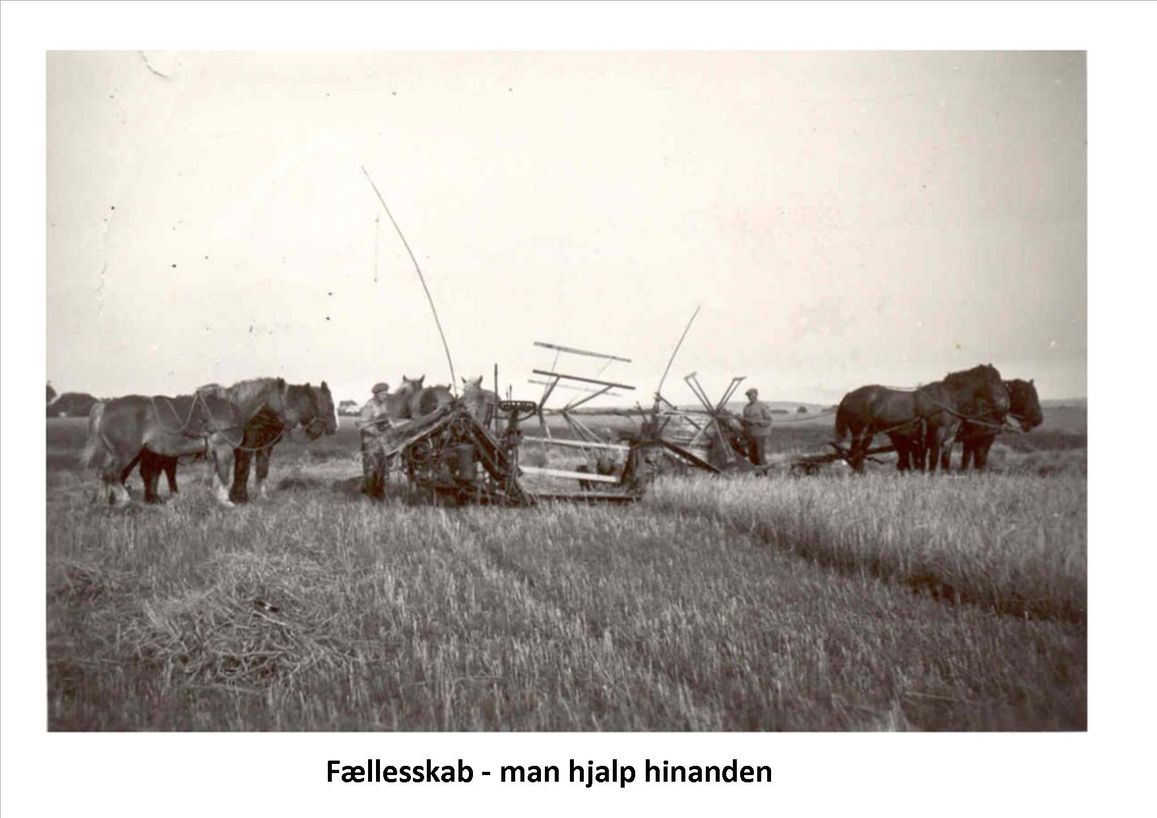 Fiskbæk billeder til mojnasta 4