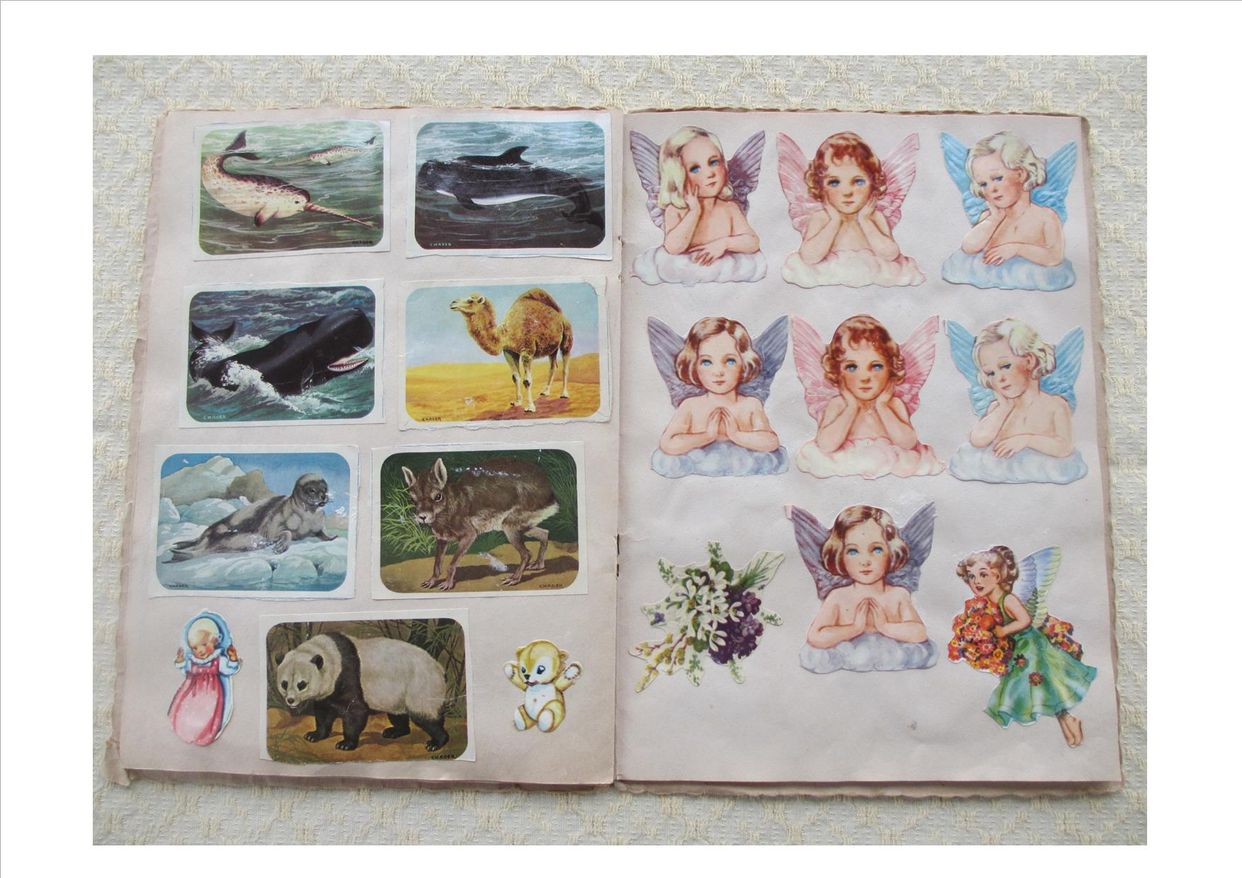 Glans billeder 1950-60 10