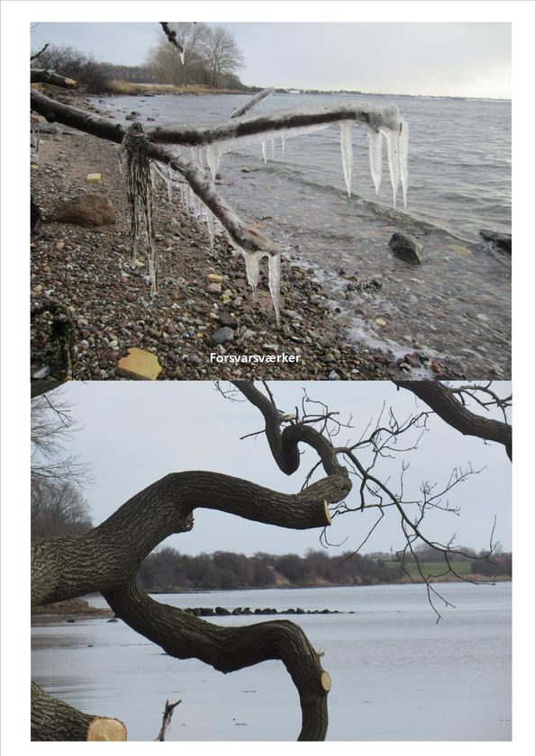 Naturkunst 4