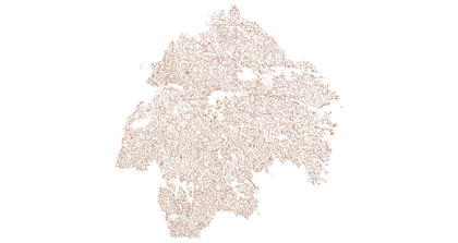 Road Network Data