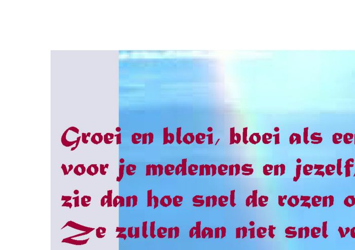 Waardebon mogelijkheden vraag erna.
Voor u of als cadeau leuk om te geven en nog leuker om te krijgen.