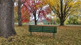 Aboretum bench(h)