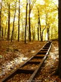 Stairway to Gold