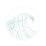 take surf
