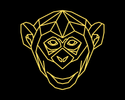 Montamonkey 