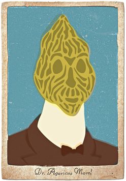 Morel mushroom ointment ad illustration #grafiatekija