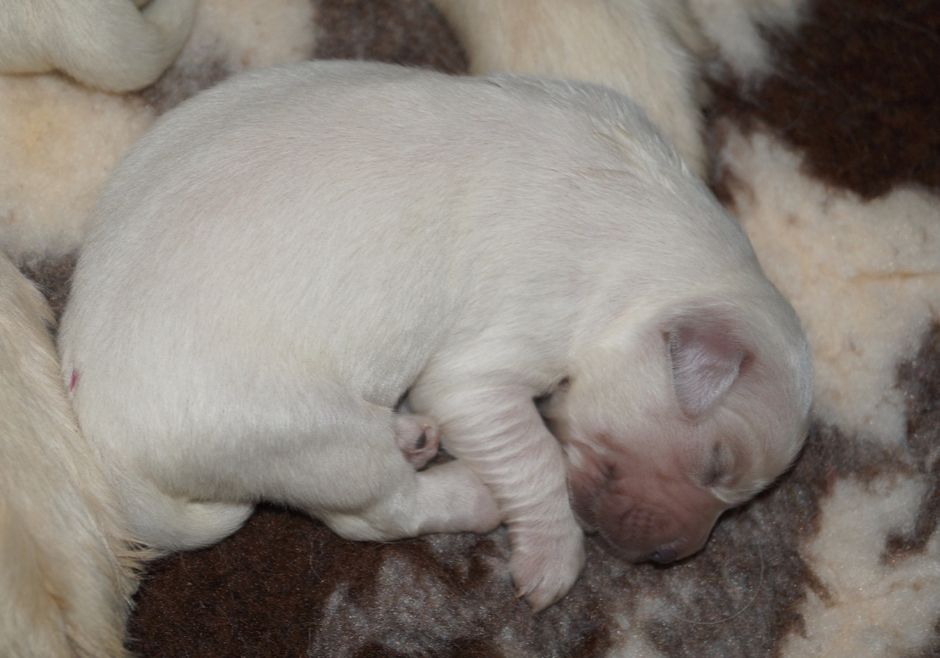 Liten bebis 4 dygn gammal