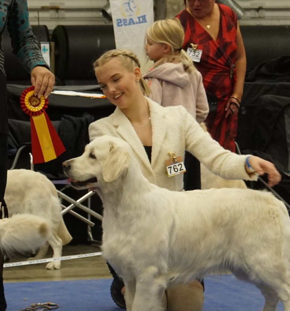 SKK Internationell Sundsvall, Tequila BIR, CACIB