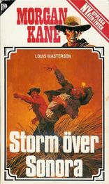 12 Storm över Sonora