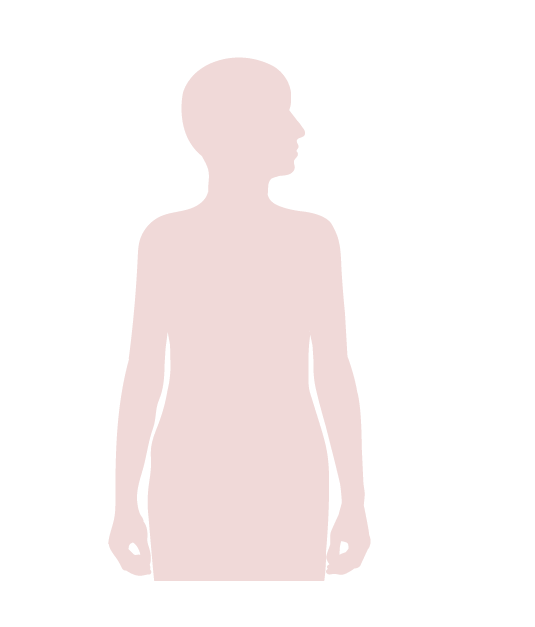 Anatomi_Rygning_figur