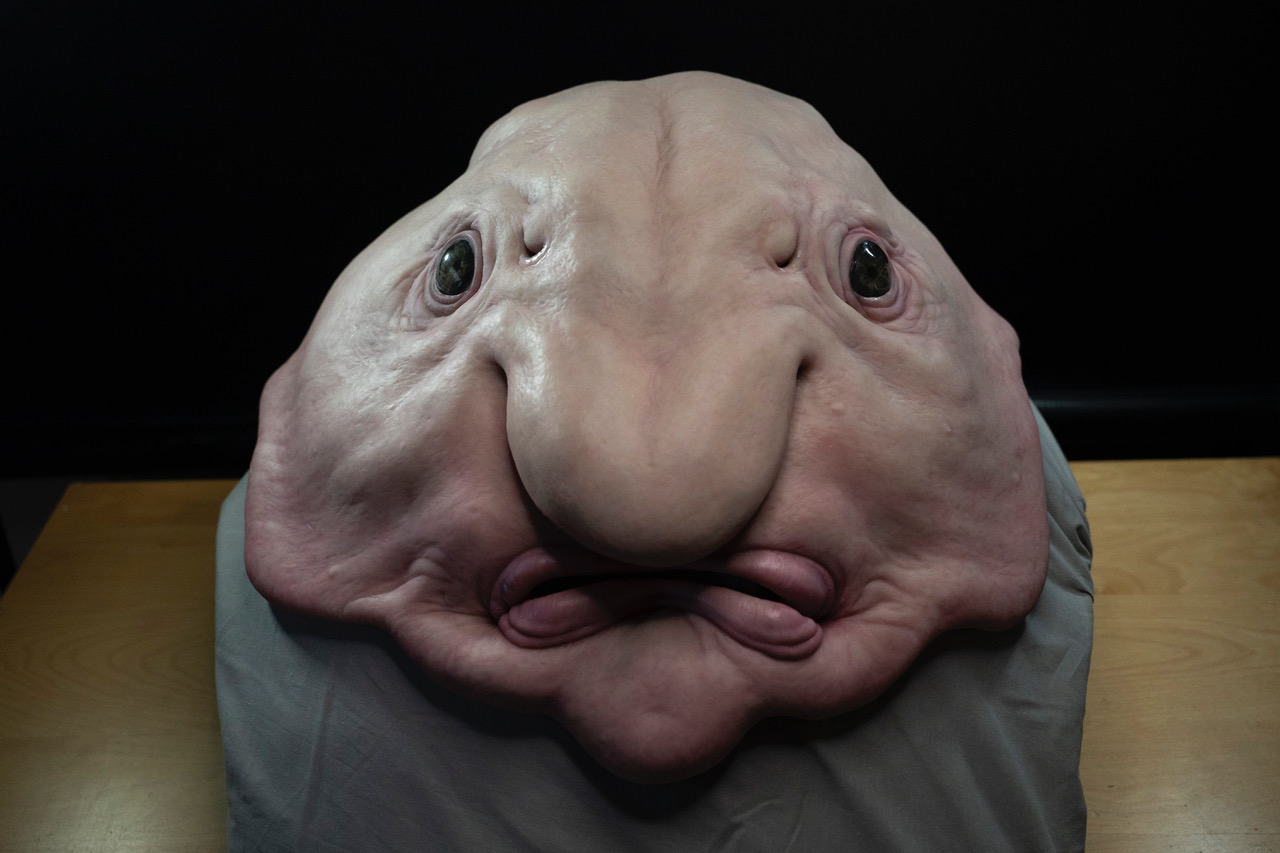 Rumvæsen