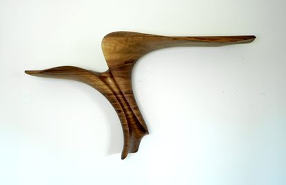 Columnea Shelf XI