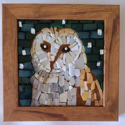 Barn owl