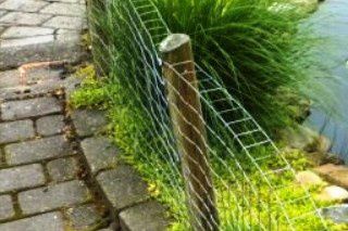 Eksempel på en sikker indhegning, af dine skildpadder. Her er de øverst 5-10 cm., af hegnet, bukket ind mod dammen.