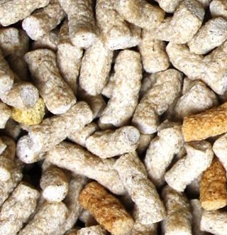 En god kvalitetsfoder til sumpskildpadder, med alle mineraler og vitaminer. SkildpaddeShop.dk