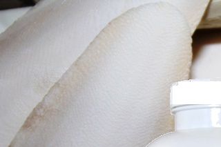 Sepiaskaller og ReptiVite der indeholder alle vitaminer, mineraler og kalk dine skildpadder har behov for.