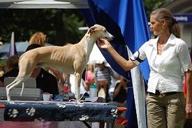 








































Pics by Heinz Knoche