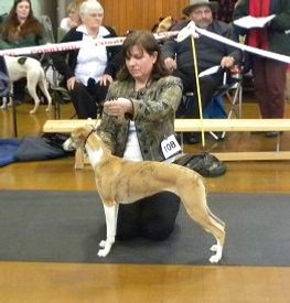 








































pic very kindly supplied by Cathie Brown 