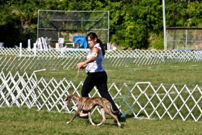 








































Oscar & Tali striding out to take the group!
