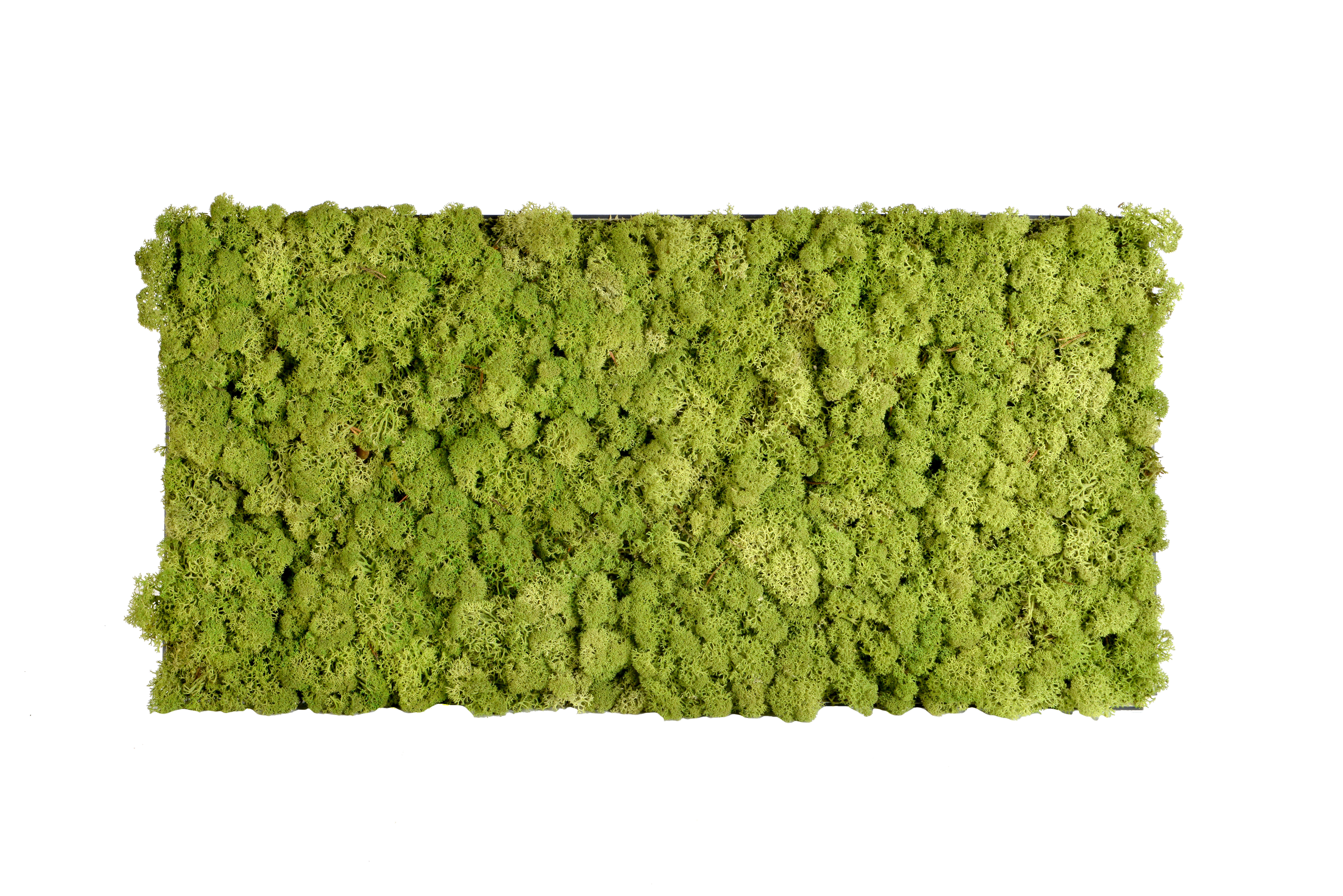 Medium 120x60cm
