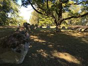 IMG_0417web