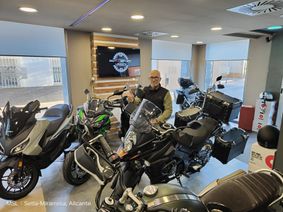 DL650XT