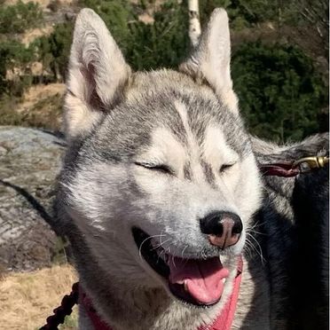 Alaska