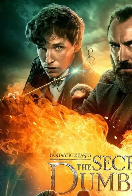 Fantastic Beasts: The Secrets of Dumbledore (2022)