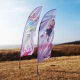 Beachflag