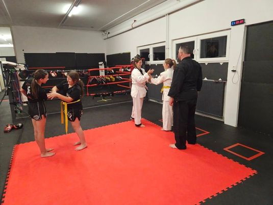 Hapkido6