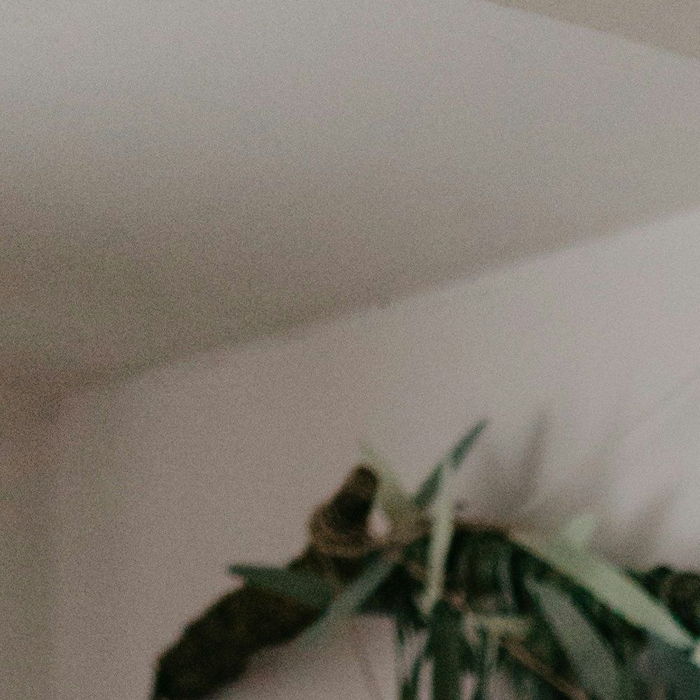 unsplash_9jLZ3YZ8Xu0