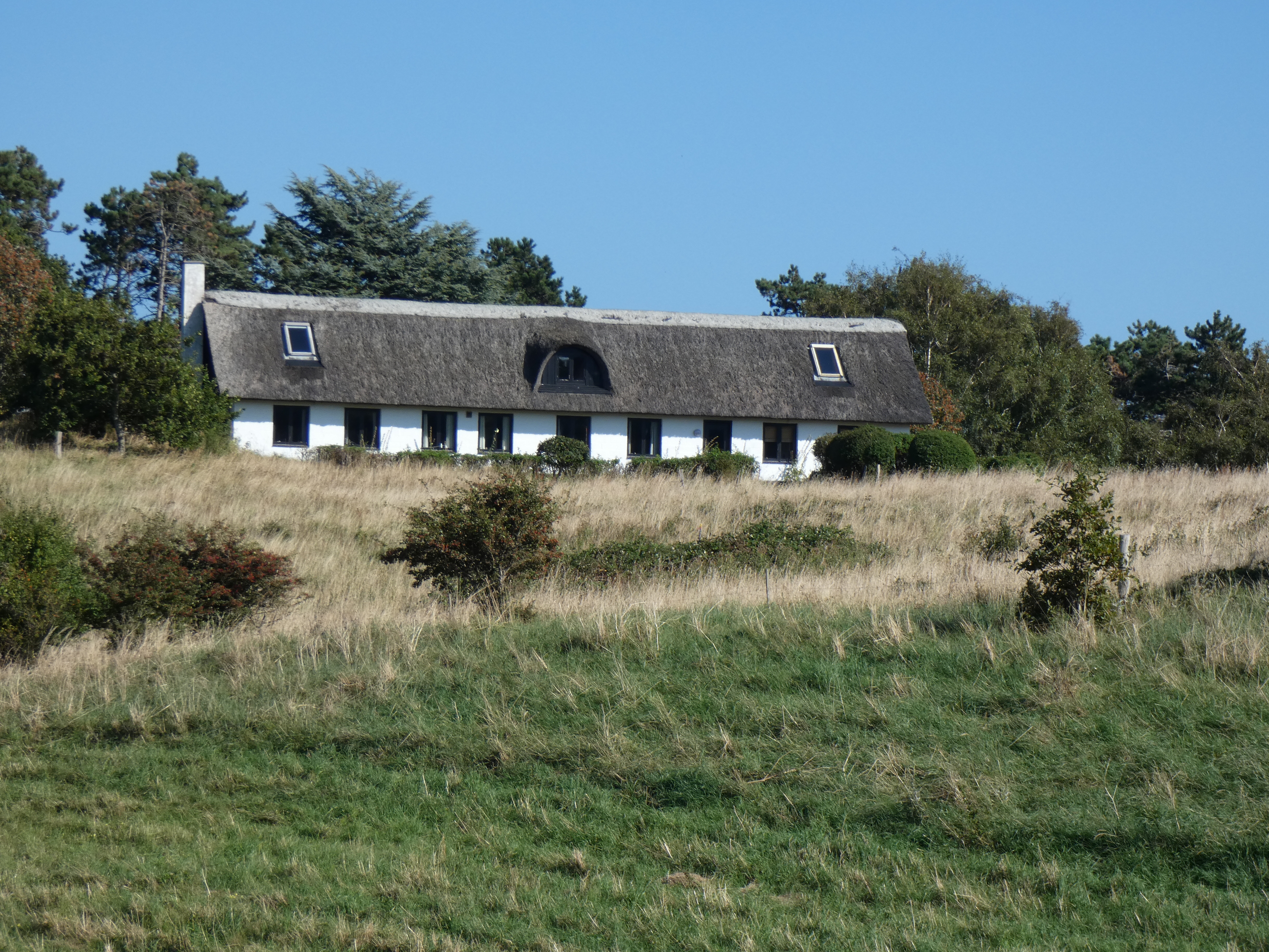 Bjørnvig