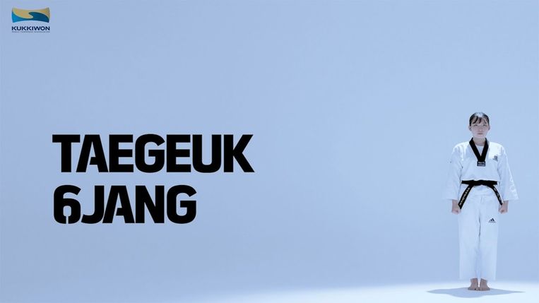 Taegeuk Yuk Jang (6)