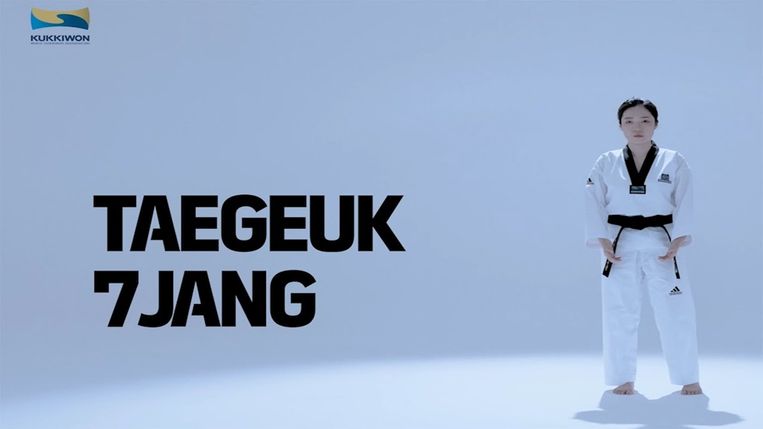 Taegeuk Chill Yang (7)
