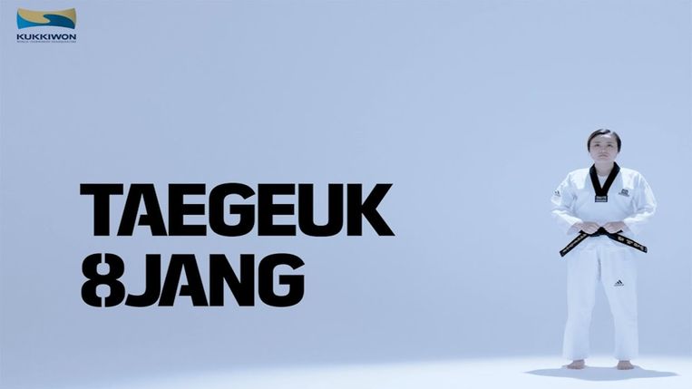 Taegeuk Pal Yang (8)