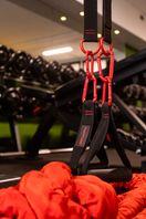 TRX, suspension training