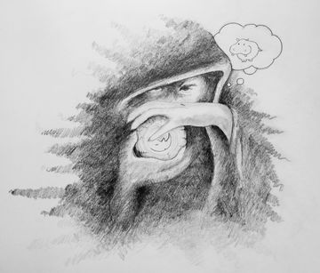 2022 Project - week 26 