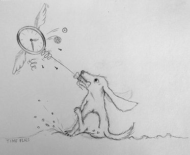 2022 Project - week 04 "Time Flies"