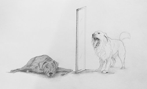 2023 Project - week 17