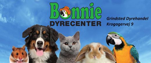 Bonnie logo ny-1