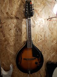 mandolin m/mic   fra 2695,-