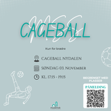 03.11 | Cageball