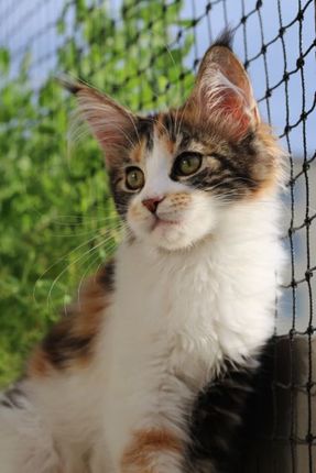 Juli 2015