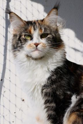 Ellie 2 år