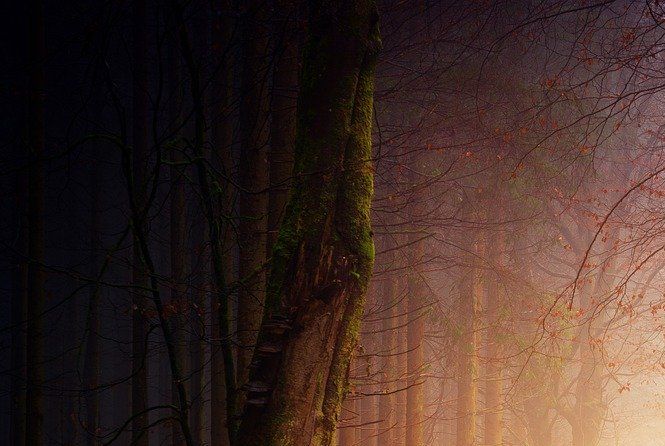 Ready to Venture Beyond the Fog Which Clouds My Way